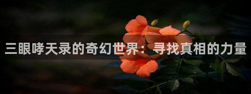 漫蛙漫画官网入口下载：三眼哮天录的奇幻世界：寻找真相的力量